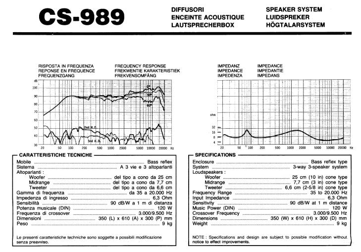 CS-989 Pioneer details.jpg