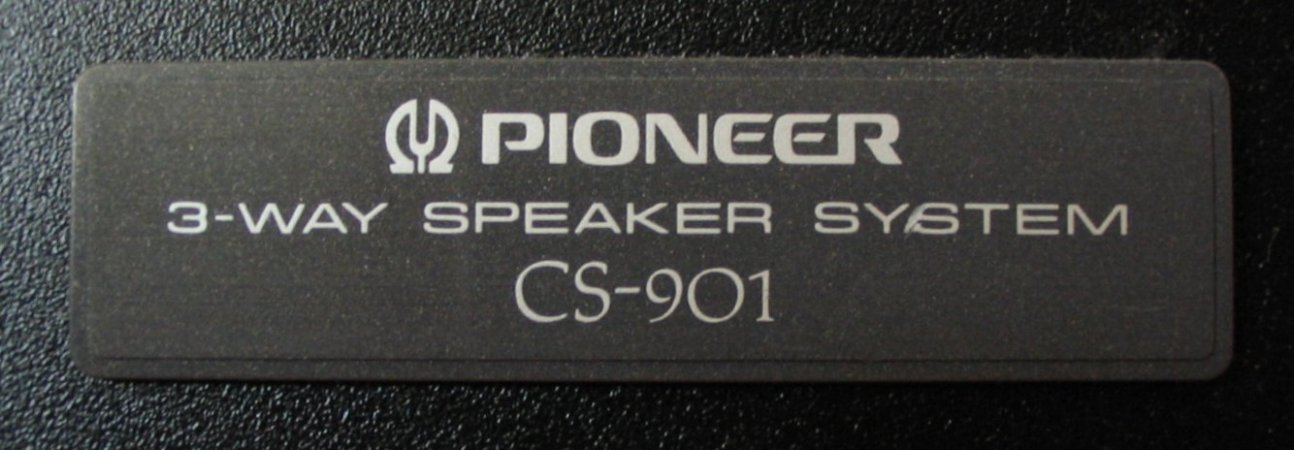 PioneerCS901 Logo.JPG